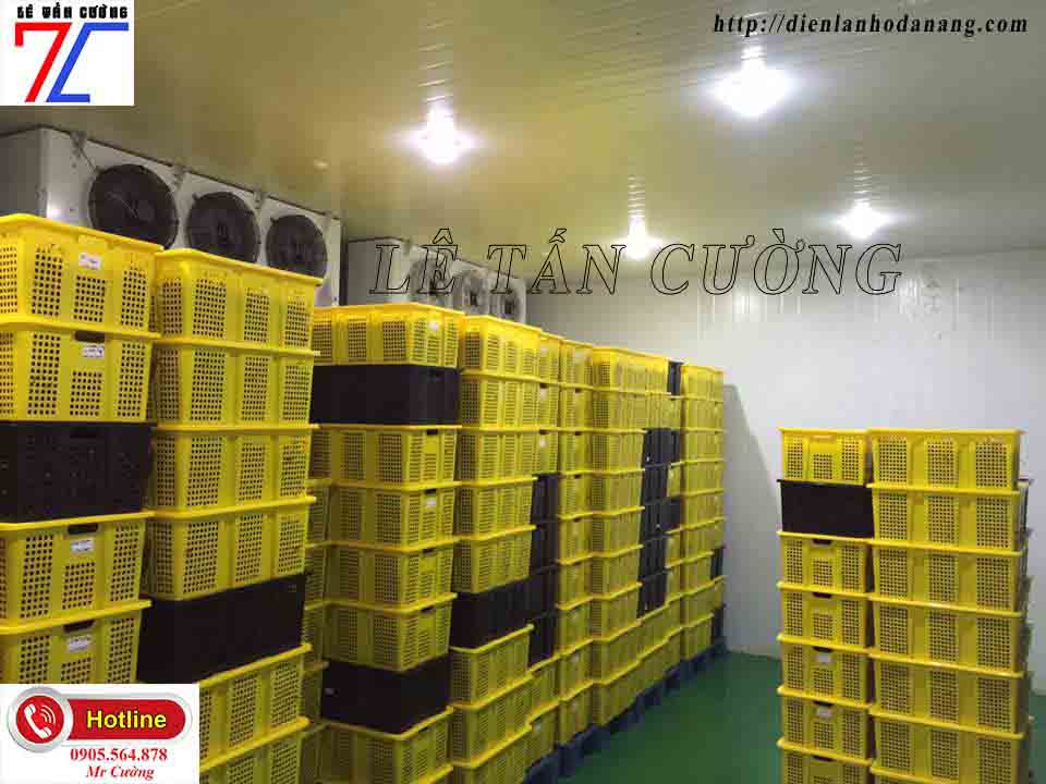 lắp đặt kho lạnh tại đà nẵng