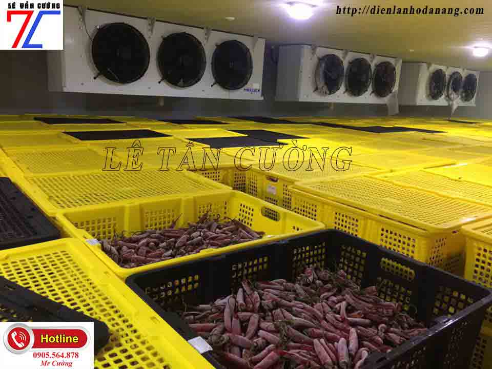 lắp đặt kho lạnh tại đà nẵng
