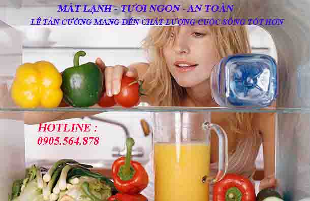 sửa tủ lạnh tại đà nẵng 