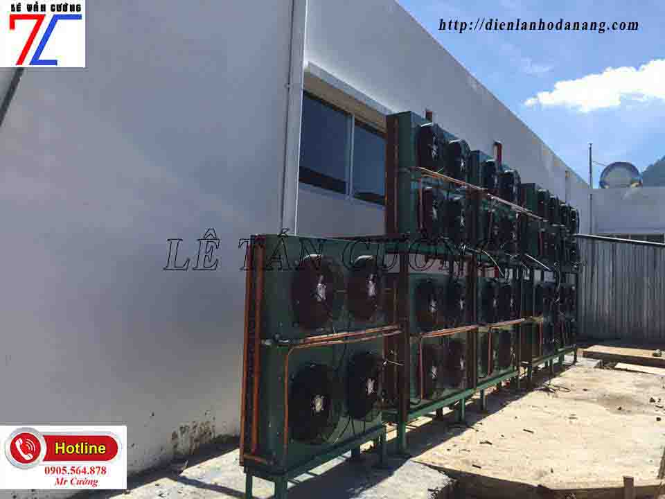 kho lạnh ớt tại thăng bình kho lạnh ớt tại thăng bình