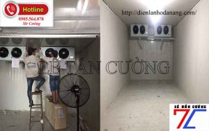 kho lạnh trữ gà tại Tam Kỳ Quảng Nam